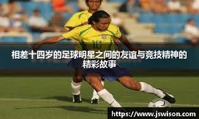 险集中